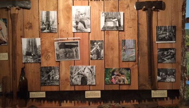 Foothills Historical 1