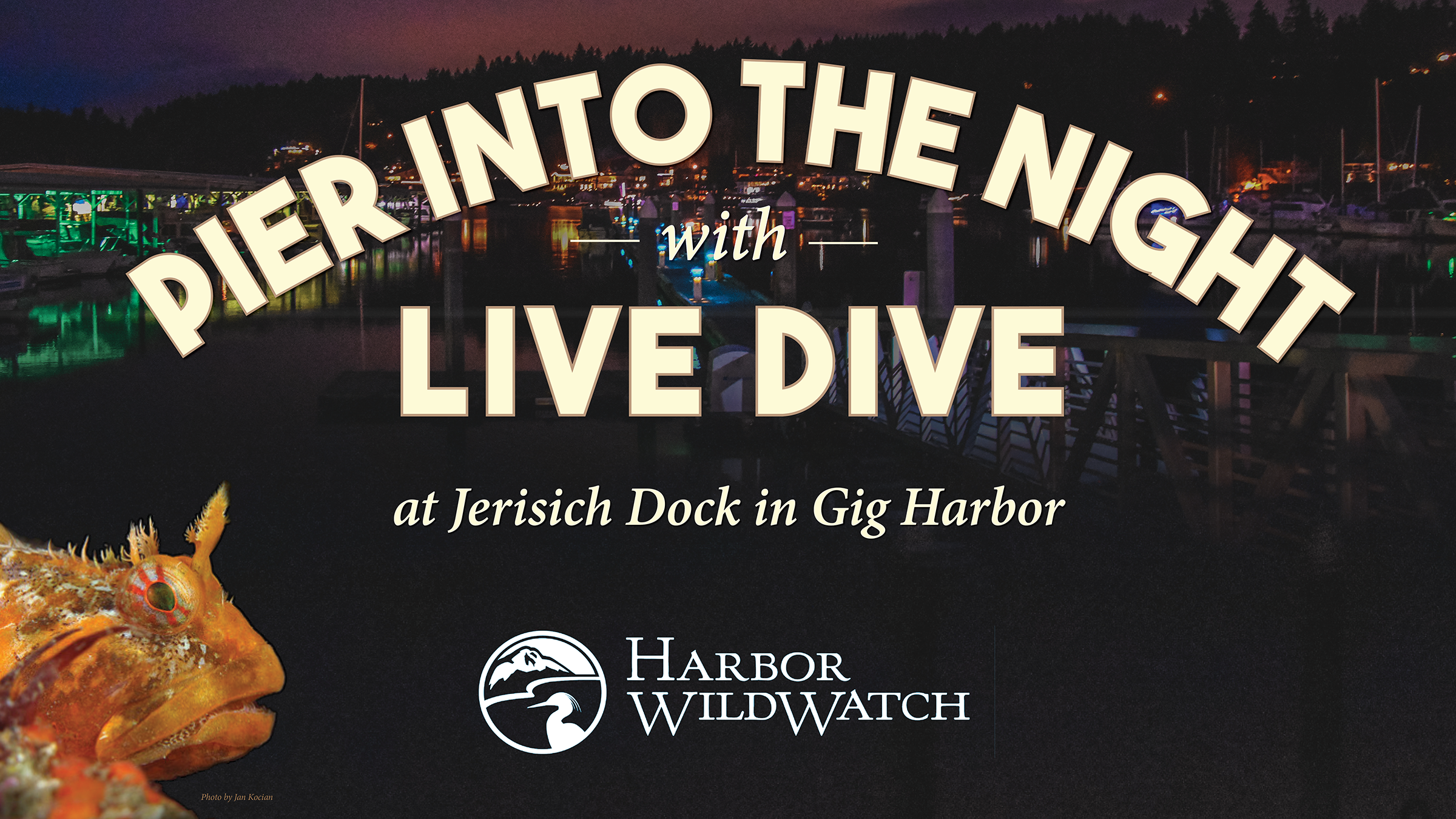 Pier Into The Night With Live Dive Greater Tacoma Community Foundation
