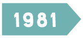 1981
